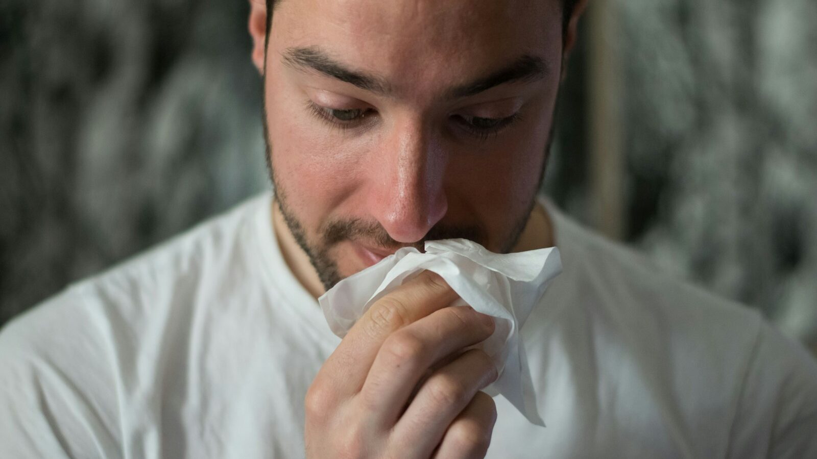 man wiping mouse with tissue paper