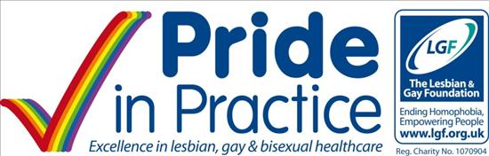 Pride_in_Practice_Logo[1]