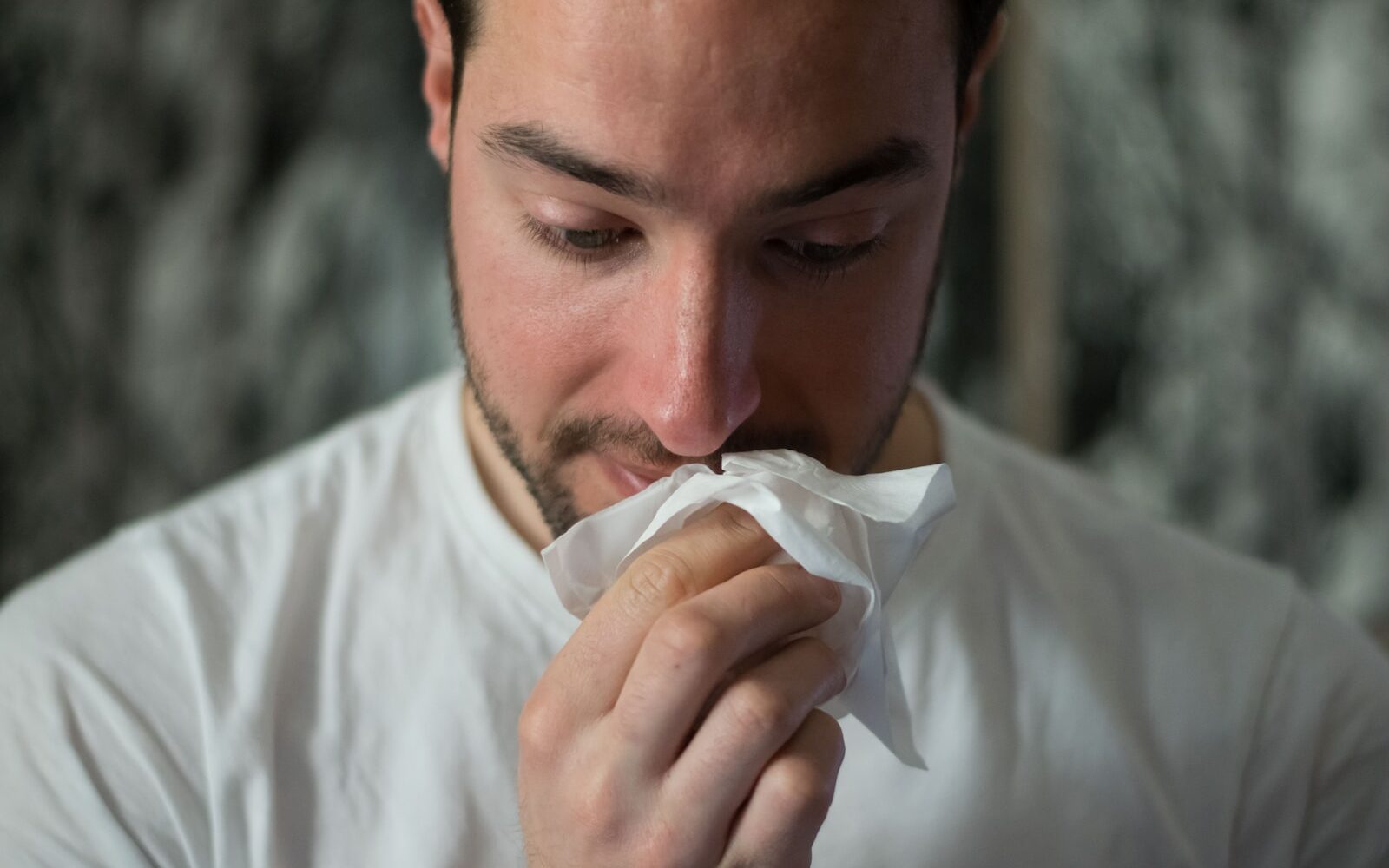 man wiping mouse with tissue paper