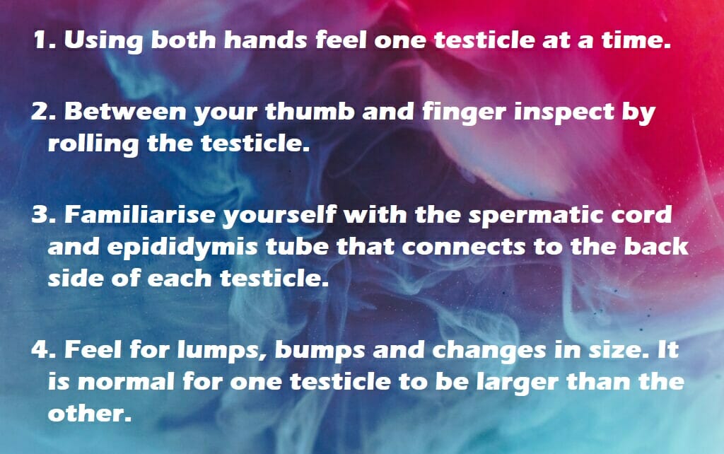 1. using both hands feel one testicle at a time 2. between your thumb and finger inspect by rolling the testicle 3. familiarise yourself with the cord and tube that connects to the back of each testicle 4. feel for lumps, bumps and changes in size. it is normal for one to be larger than the other