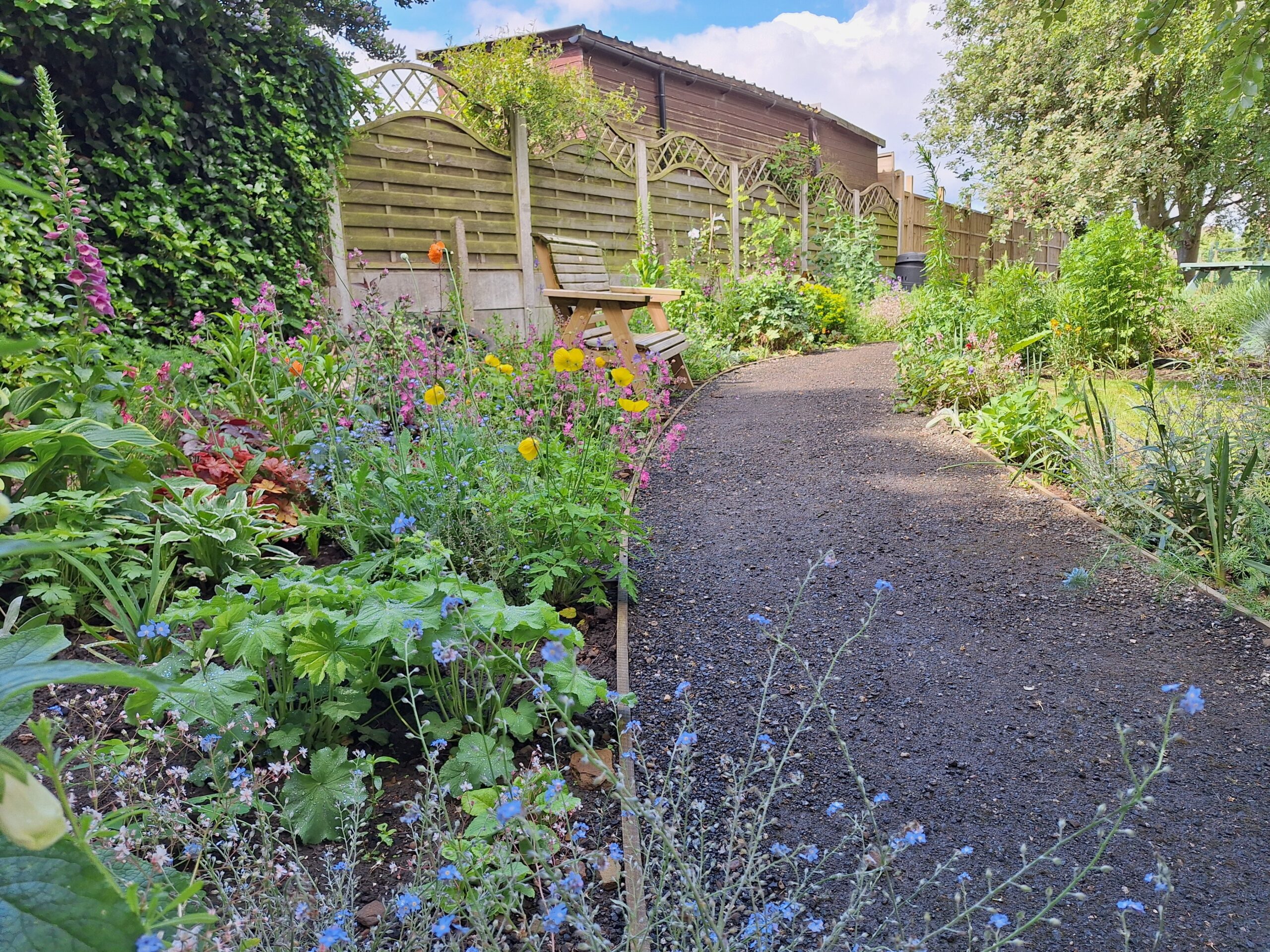 Path&flowers