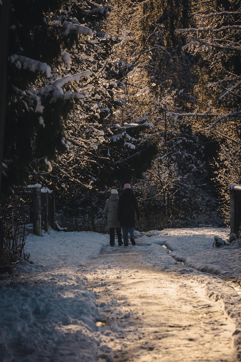 Two people walking on a snowy path in a forest.