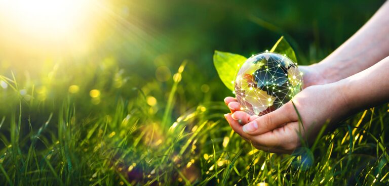 Does your role have a sustainability focus?