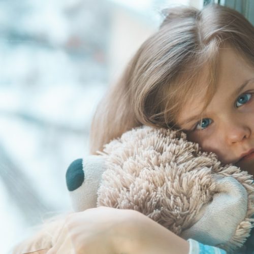 girl in blue white and red plaid shirt hugging brown teddy bear