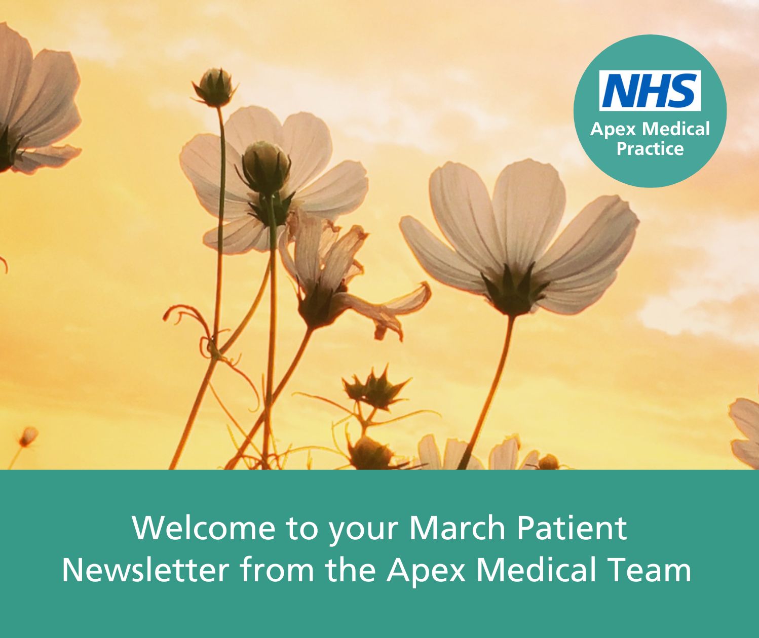 Apex Medical Practice