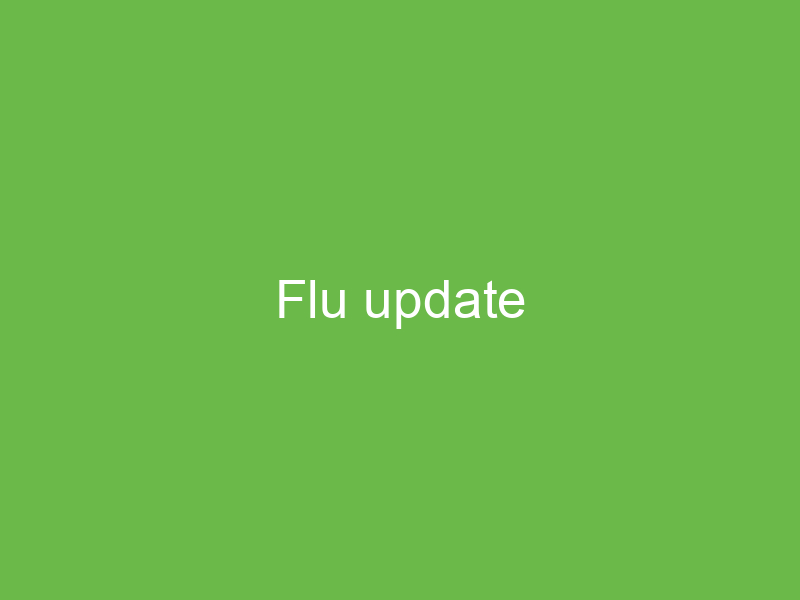 Flu update