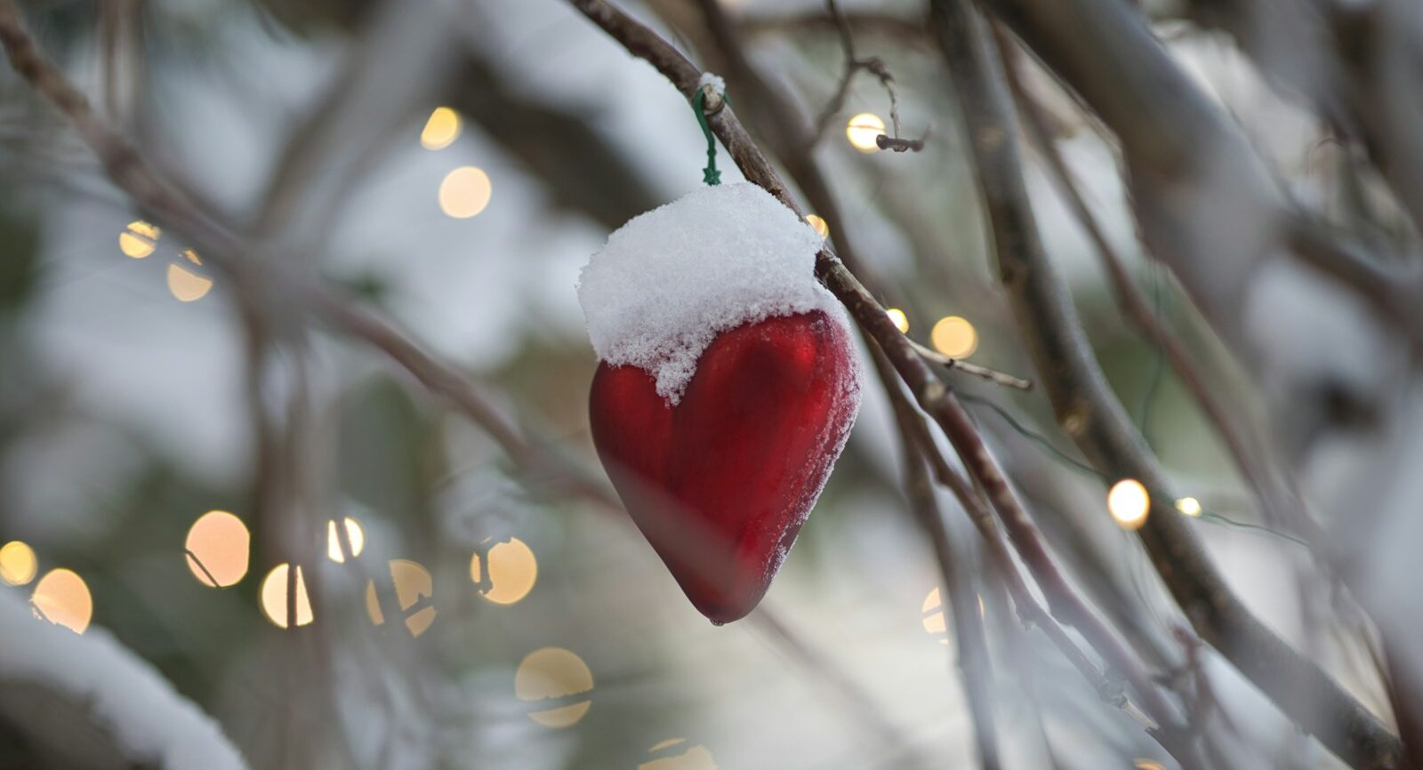 a red heart on a tree branch