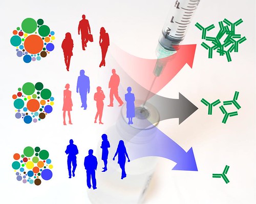 Scientists Model Immune Variation and Responses to Flu Vaccination